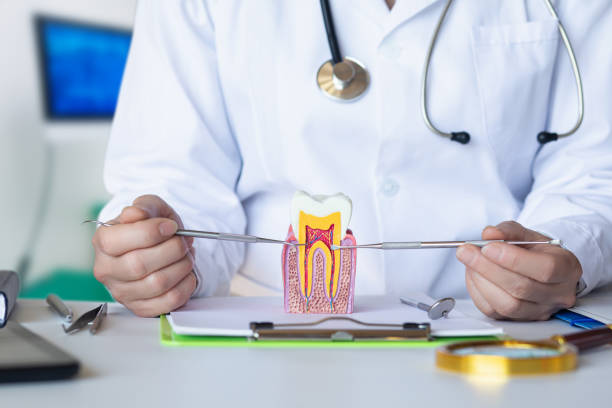 Best Emergency Treatment for Toothache in Clarkson Valley, MO